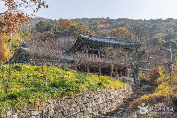 승암사(전주) 여행 추천 - 메고지고