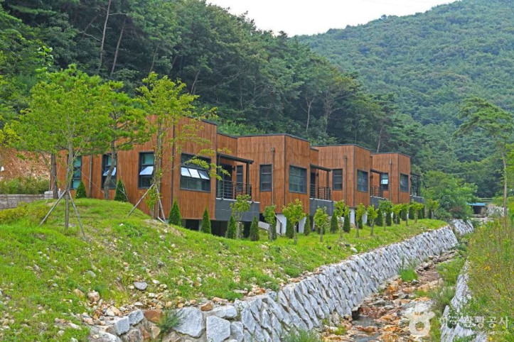 선암 자연휴양림 여행 추천 - 메고지고