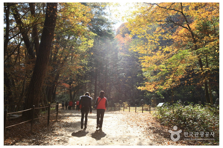 치악산국립공원 여행 추천 - 메고지고