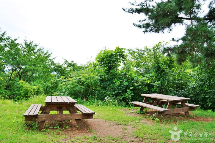 농암정 여행 추천 - 메고지고