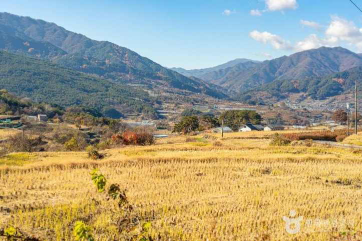 상황마을 여행 추천 - 메고지고