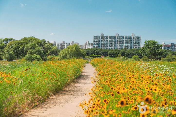 팔현생태공원 여행 추천 - 메고지고