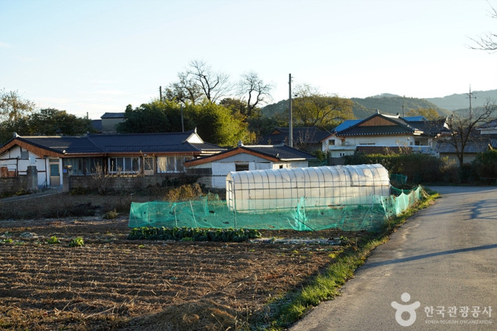 정감이마을 여행 추천 - 메고지고