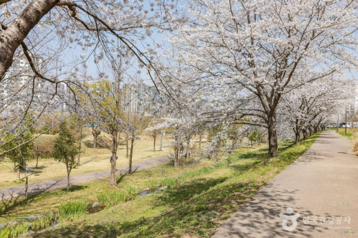 기적의놀이터 3호 시가모노 여행 추천 - 메고지고