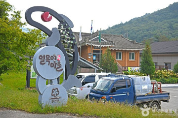 홍천 은행나무숲 여행 추천 - 메고지고