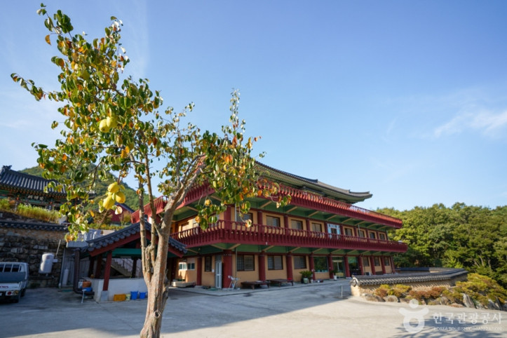 법주사(군위) 여행 추천 - 메고지고