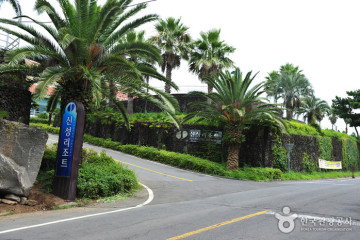 워터월드 제주 여행 추천 - 메고지고