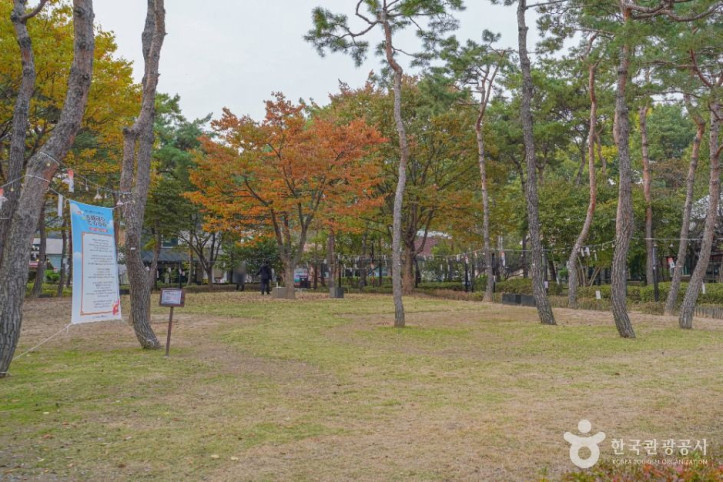 원당샘공원 여행 추천 - 메고지고