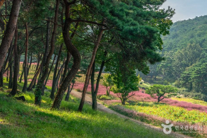 가산수피아 여행 추천 - 메고지고