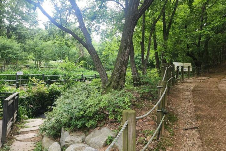 관악산 선우공원 여행 추천 - 메고지고