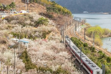 달무리수변공원 여행 추천 - 메고지고