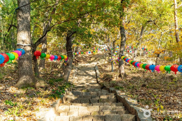 백률사(경주) 여행 추천 - 메고지고