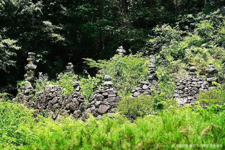 지리산국립공원(하동) 여행 추천 - 메고지고