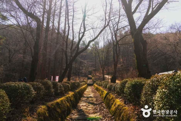 안양수목원 여행 추천 - 메고지고