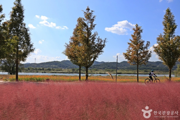논공꽃단지 여행 추천 - 메고지고