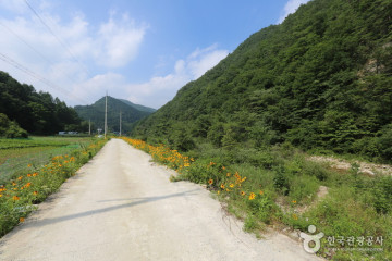 천문인 마을 여행 추천 - 메고지고