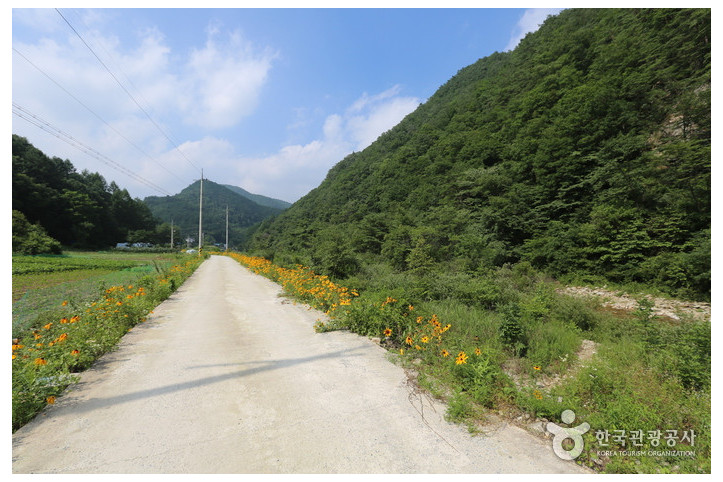 구룡산(강원) 여행 추천 - 메고지고