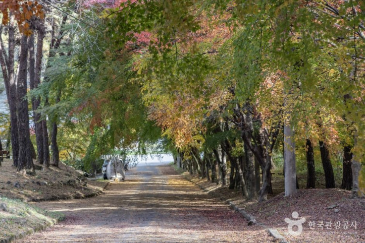 추월산 여행 추천 - 메고지고