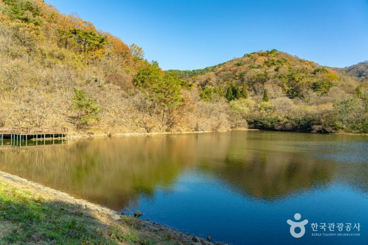 세량지 여행 추천 - 메고지고