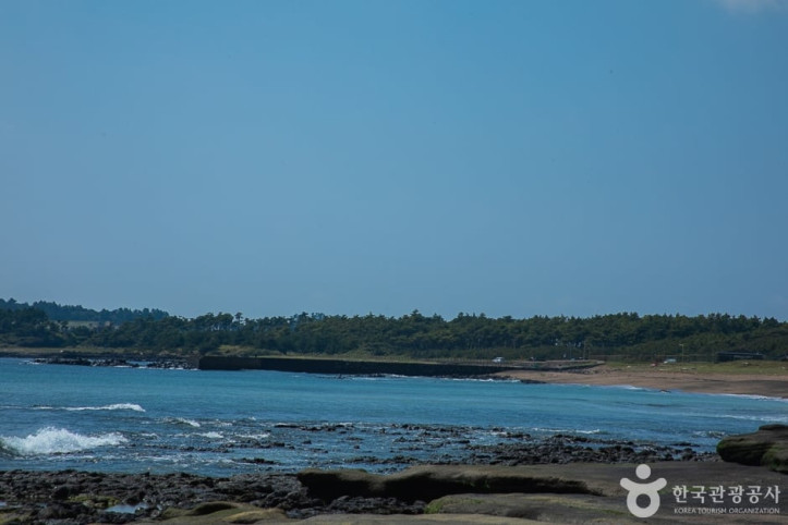 사계해변 여행 추천 - 메고지고