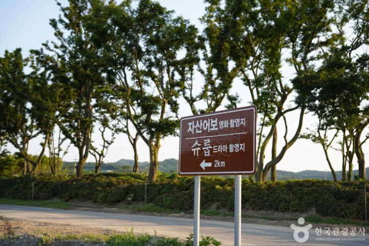 자산어보 촬영지 여행 추천 - 메고지고