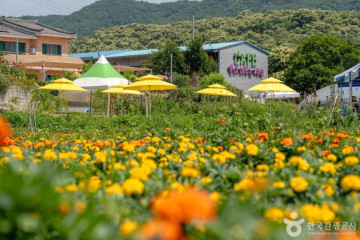 작천계곡 여행 추천 - 메고지고