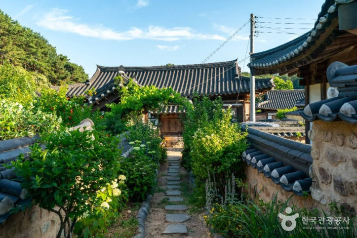 도곡재 여행 추천 - 메고지고