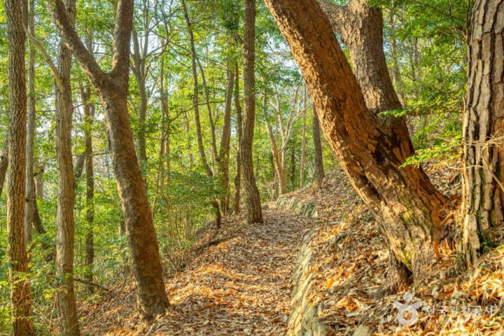 달마고도 여행 추천 - 메고지고