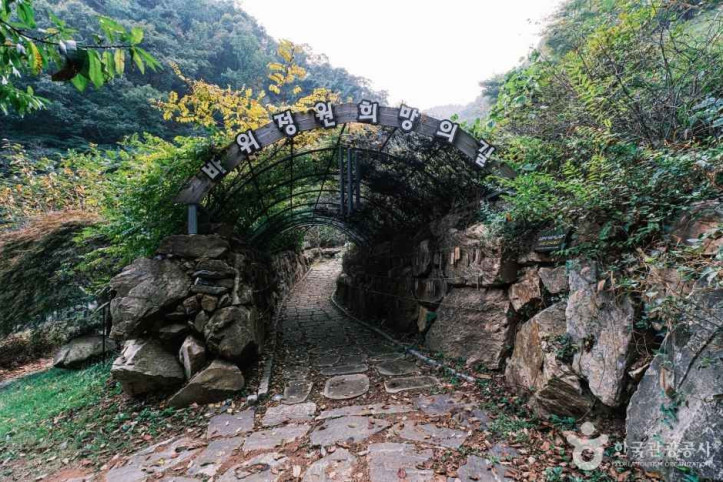 좌구산 자연휴양림 여행 추천 - 메고지고