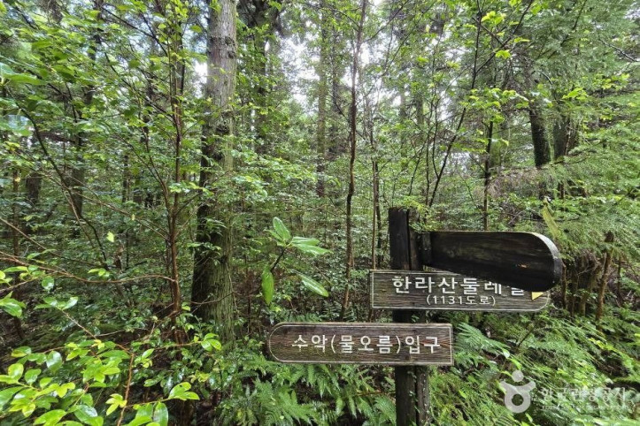 수악(물오름) 여행 추천 - 메고지고