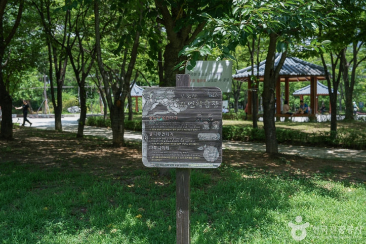오조산공원 여행 추천 - 메고지고
