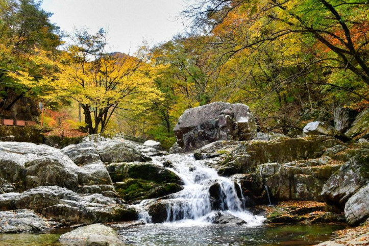 내원사계곡(양산) 여행 추천 - 메고지고