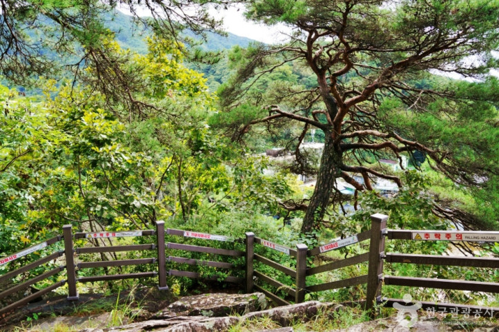 탁사정 여행 추천 - 메고지고