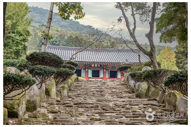 봉명산시립공원 여행 추천 - 메고지고