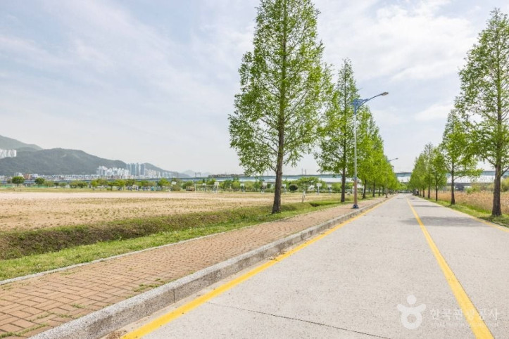 대저생태공원 여행 추천 - 메고지고