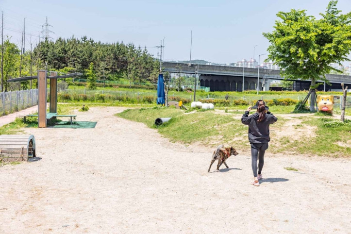 진주휴게소반려견놀이터 여행 추천 - 메고지고