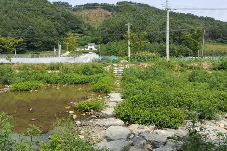대덕숲유원지 여행 추천 - 메고지고
