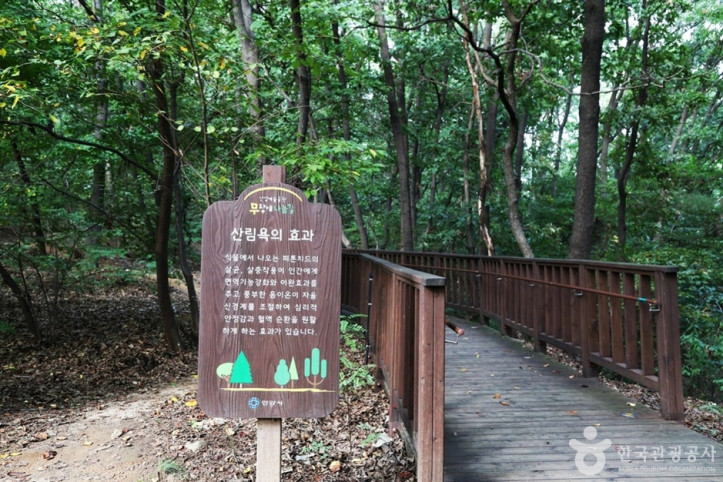 삼성산산림욕장 여행 추천 - 메고지고