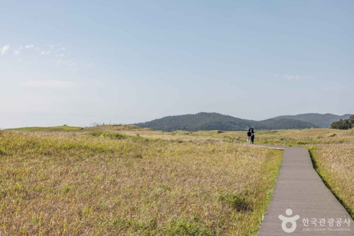 신두사구 쉼터공원 (신두사구 생태공원) 여행 추천 - 메고지고