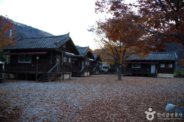 계방산(홍천) 여행 추천 - 메고지고