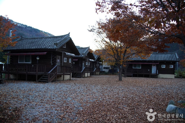 홍천 살둔마을 여행 추천 - 메고지고
