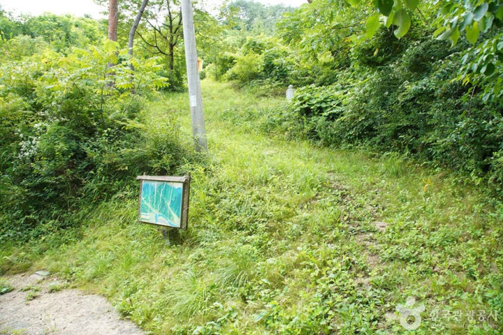 기우산(정선) 여행 추천 - 메고지고