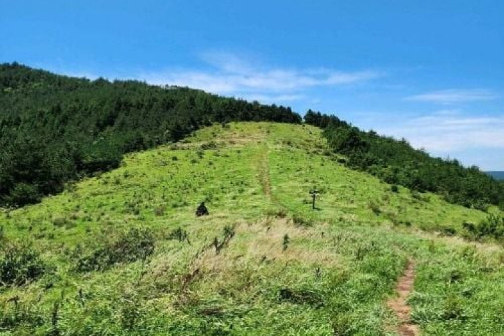 영주산 여행 추천 - 메고지고