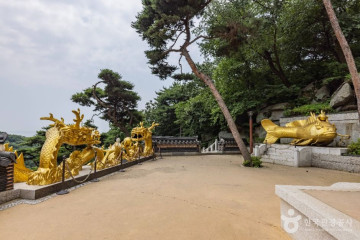석모도 자연휴양림 여행 추천 - 메고지고