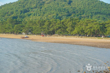 나로도항 여행 추천 - 메고지고