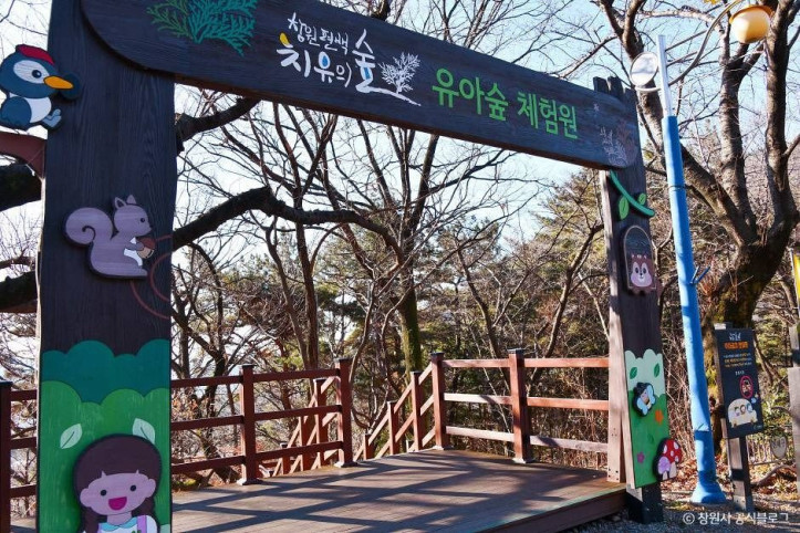 창원 편백 치유의 숲 여행 추천 - 메고지고