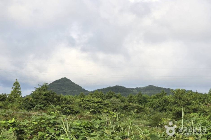 동거문오름 여행 추천 - 메고지고