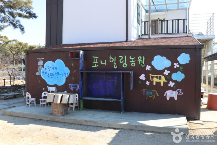 포니힐링관광농원 여행 추천 - 메고지고