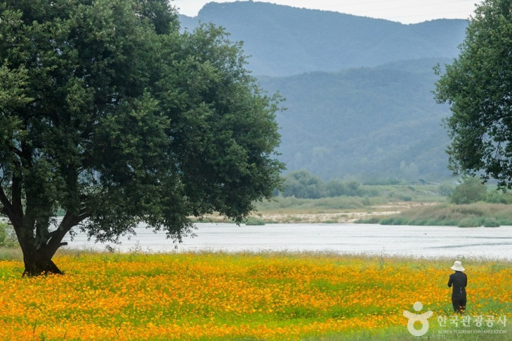 핫들생태공원 여행 추천 - 메고지고