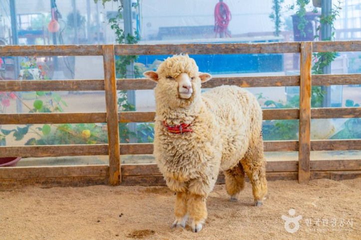 나눔농장(부천) 여행 추천 - 메고지고